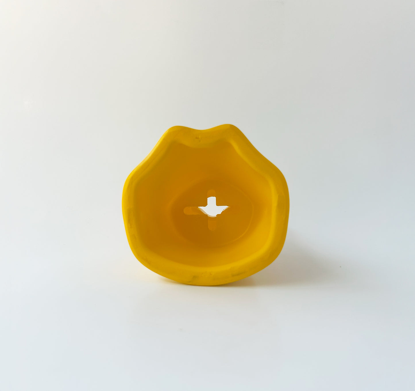 The Quacker