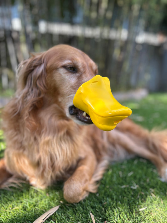 The Quacker